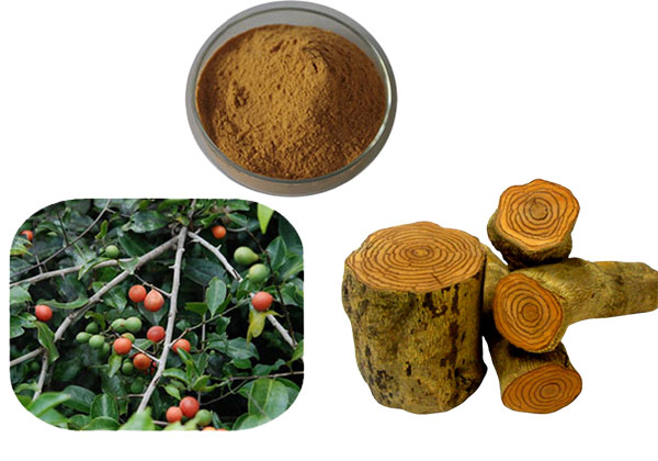 Viên giảm cân Kentoushi Nhật Bản (4)