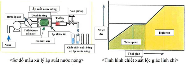 Viên uống hỗ trợ điều trị ung thư Fukujyusen Ribeto Nhật Bản (10)
