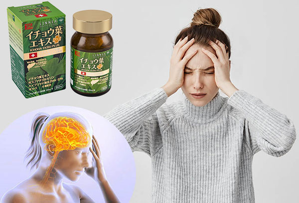 Viên uống tuần hoàn não, ngừa đột quỵ Ichoha Ekisu Plus của Ribeto (11)