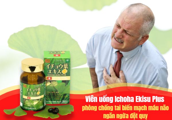 Viên uống tuần hoàn não, ngừa đột quỵ Ichoha Ekisu Plus của Ribeto (12)