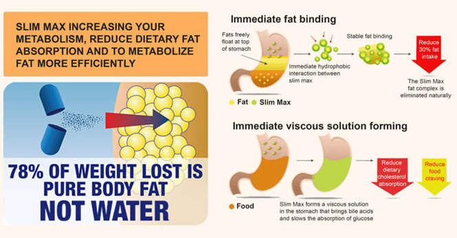 SLIM MAX USA - VIÊN UỐNG GIẢM CÂN CỰC MẠNH CHO NGƯỜI KHÓ GIẢM CÂN 5